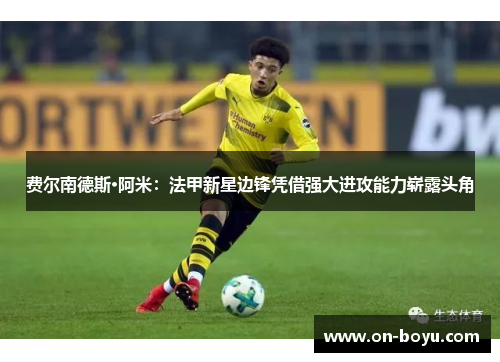 费尔南德斯·阿米：法甲新星边锋凭借强大进攻能力崭露头角