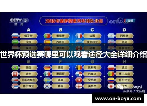 世界杯预选赛哪里可以观看途径大全详细介绍
