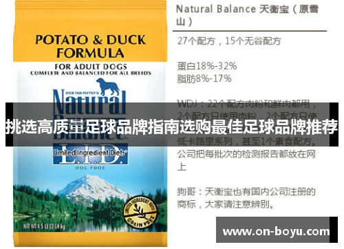 挑选高质量足球品牌指南选购最佳足球品牌推荐