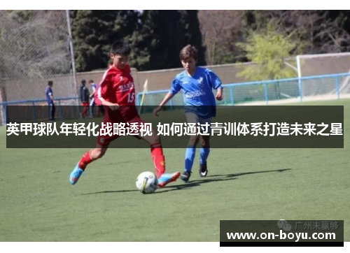 英甲球队年轻化战略透视 如何通过青训体系打造未来之星