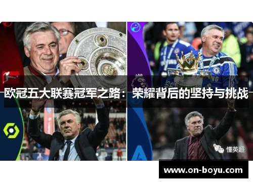 欧冠五大联赛冠军之路：荣耀背后的坚持与挑战