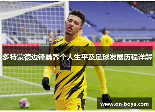 多特蒙德边锋桑乔个人生平及足球发展历程详解