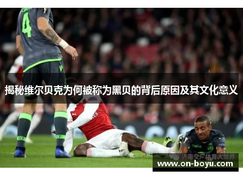 揭秘维尔贝克为何被称为黑贝的背后原因及其文化意义